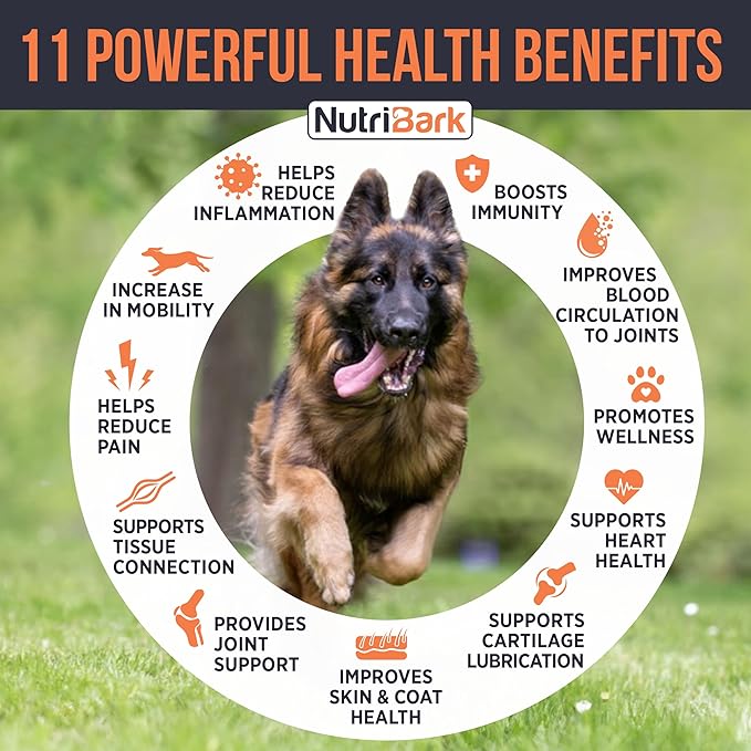 Glucosamine for Dogs -1000mg- Senior Dog Joint Supplement -Advanced Hip & Joint Support Chews w/Glucosamine, Chondroitin, MSM, Turmeric & Omega 3 for Pain & Inflammation Relief, Improved Mobility