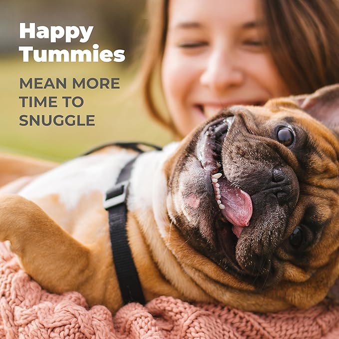 Vetnique Glandex Daily Probiotics for Dogs with Prebiotics to Support Gut Health with Fiber and Digestive Enzymes, Dog Probiotic Chews or Powders (30ct Chews, Bacon Chews)