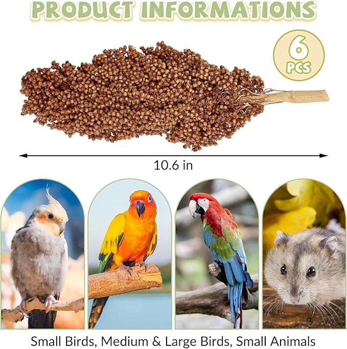 Fhiny Millet Spray for Birds, 6 PCS Natural Sun-Dried Red Sorghum Grain for Birds Seed Original Parrot Treats & Supplement Parakeet Food for Cockatiels Lovebirds Finches Budgies Pigeons Hamsters