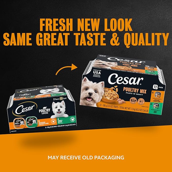 Cesar Filets in Gravy Adult Wet Dog Food Variety Pack, Poultry Lovers with Rotisserie Chicken Flavor and Turkey Recipe, 3.5 oz. Easy Peel Dog Food Tray, 12 Count (Pack of 2)