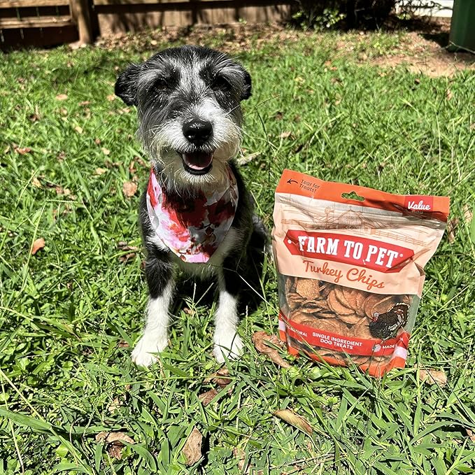 Farm To Pet Dog Training Treats, Healthy Turkey Dog Treats - 12 oz, Crunchy, Single Ingredient, All Natural Turkey Chips, Easy to Digest, Great for Dogs with Chicken Allergies, Made in USA