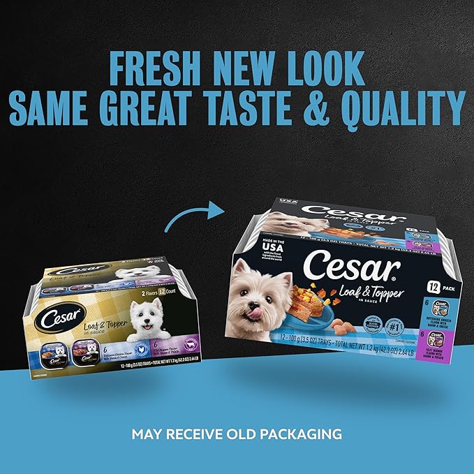 Cesar Loaf in Sauce Wet Dog Food Rotisserie Chicken Flavor with Bacon & Cheese and Filet Mignon Flavor with Bacon & Potato Variety Pack, 3.5 oz. Easy Peel Trays, 12 Count (Pack of 2)