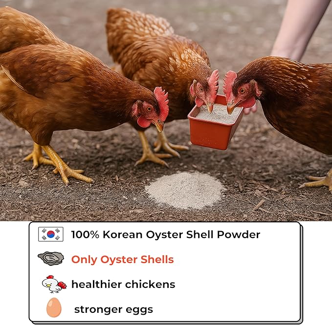 | Oyster Shell Flour 4.4lb – Finely Ground Calcium Material for Chickens, Ducks, Birds, Reptiles, Amphibians, and More – Crushed Oyster Shell Alternative | 굴껍질가루 (1lb)