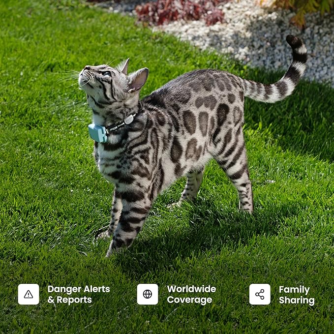 Tractive Smart Cat GPS Tracker with Free 6 Month Subscription | Real-Time Location & Wellness Monitoring for Cats 6.5 lbs+ | Territory & Location History | Up to 5-Day Battery (Brown)