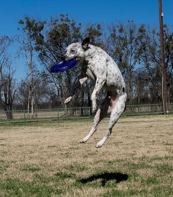 Starmark Easy Glide DuraFoam Flying Disc Dog Toy, Color Varies 11"
