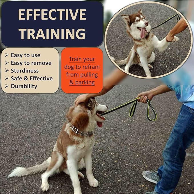 Quick Release Dog Training Collar Adjustable Stainless Steel Collar for Small Medium Large Dog (Pink, M/L Neck Girth 14.5"-18.6")