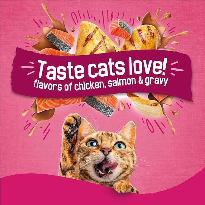 Purina Friskies Gravy Swirlers with Flavors of Chicken, Salmon and Gravy Dry Cat Food - 22 lb. Bag