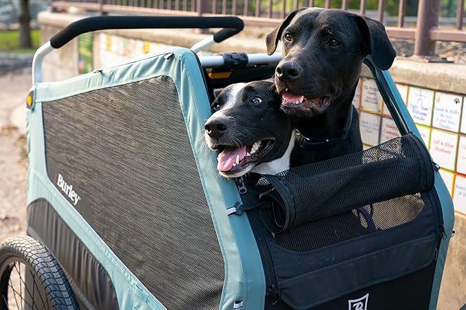 Burley Bark Ranger™ Pet Bike Trailer