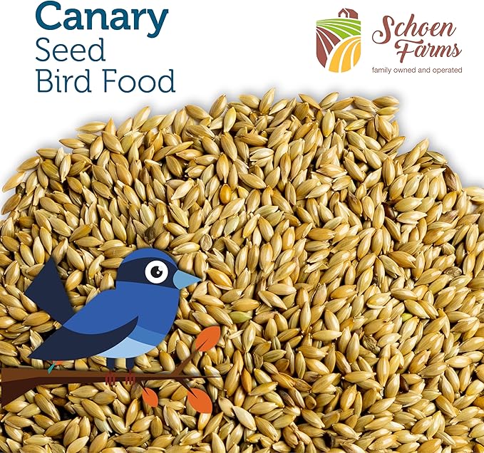 Premium Canary Seed ALPISTE (5 LBS)