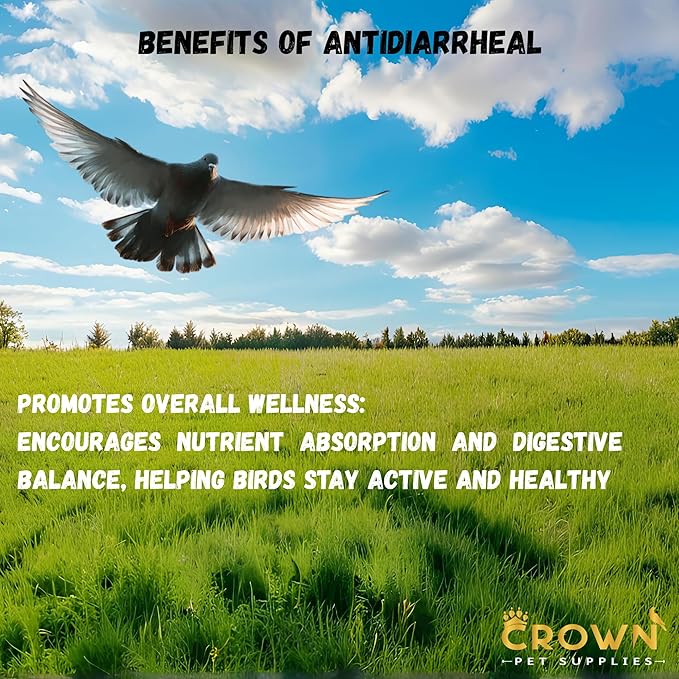 Avian Gut Health & Digestive Support – Multi-Strain Probiotic Blend, Natural Intestinal Balance Supplement for All Birds, Promotes Healthy Digestion & Immune Function