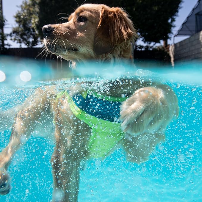 Outward Hound Standley Sport Green Performance Dog Life Jacket, XL