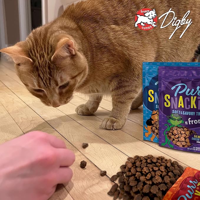 Fromm PurrSnackitty Salmon Flavor Snackitties Treats - Premium Soft & Savory Cat Treats - Pack of (3) 3 oz Bags