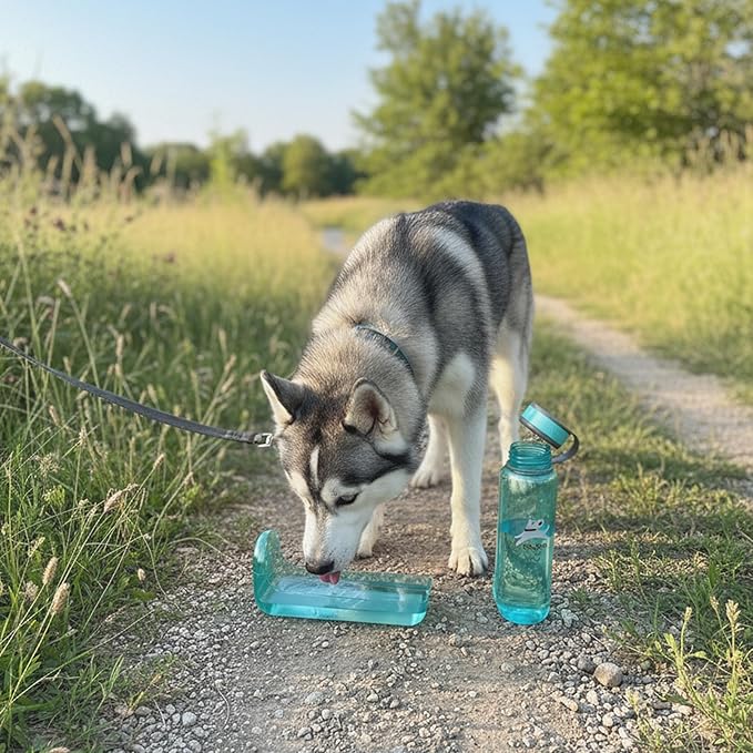 OllyDog OllyBottle | Tritan Dog Water Bottle with Detachable Bowl | BPA Free Leakproof Pet Dispenser | Hiking Travel (1L, Aqua Blue)
