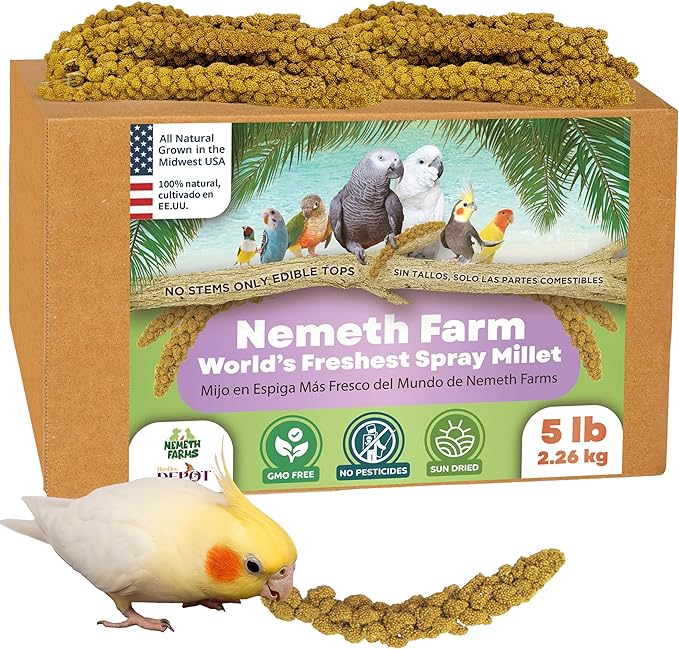 Nemeth Farms 5lbs Premium Spray Millet for Exotic Birds – Grown in The USA – 100% Natural & Non‑GMO Bird Treat – Sun‑Dried Millet for Parakeets, Conures, Cockatiels, Parrots & Budgies