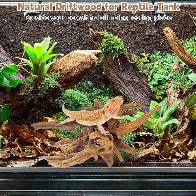 PINVNBY Natural Driftwood for Aquarium Decor Fish Tank Decorations Reptile Decor Driftwood Decor, 3 Pieces 7"-11" Assorted Driftwood Branch