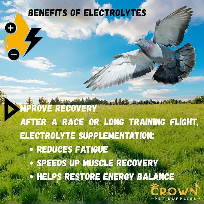 Electrolytes Plus Powder for Pigeons – Hydration & Recovery Supplement with Essential Minerals & Nutrients for Pigeons, Racing Pigeons and All Types of Pigeons & Birds