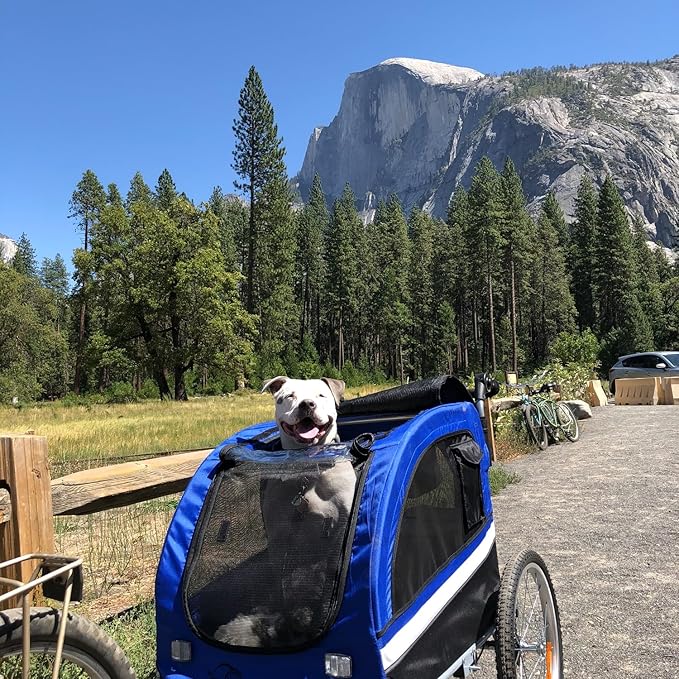 Booyah Large Pet Trailer Pet Bike Trailer & Jogger with Shocks - Blue