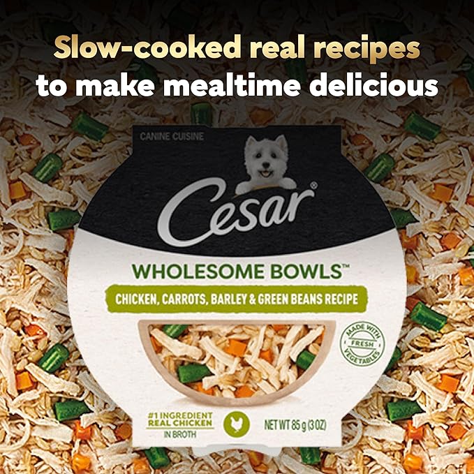 Cesar Wholesome Bowls Adult Wet Dog Food,Chicken,Carrots,Barley & Green Beans Recipe,Wet Food for Dogs,3 Oz. Bowls,10 Count (Pack of 2)