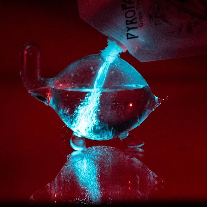 Bioluminescent Bio-Turtle Gift Option, Glass Turtle Micro-Aquarium, Redeemable PyroDino Card for Live PyroDinos and DinoNutrients