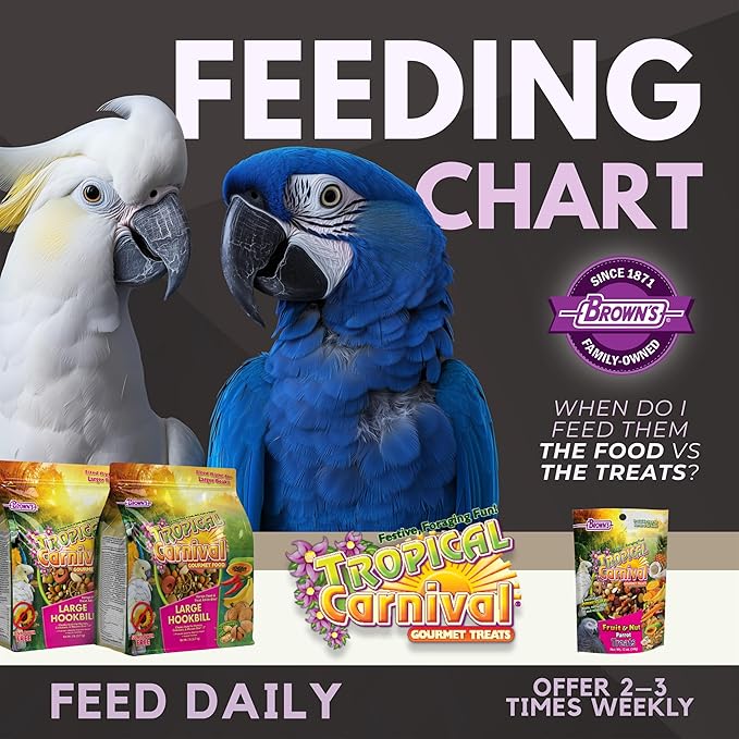 Tropical Carnival Brown’s Gourmet Large Hookbill Food & Fruit & Nut Parrot Treat Bundle – Vitamin-Fortified Daily Diet & Reward Mix for Parrots, Cockatoos & Large Hookbills Over 13in Tall – 10 lb + 1