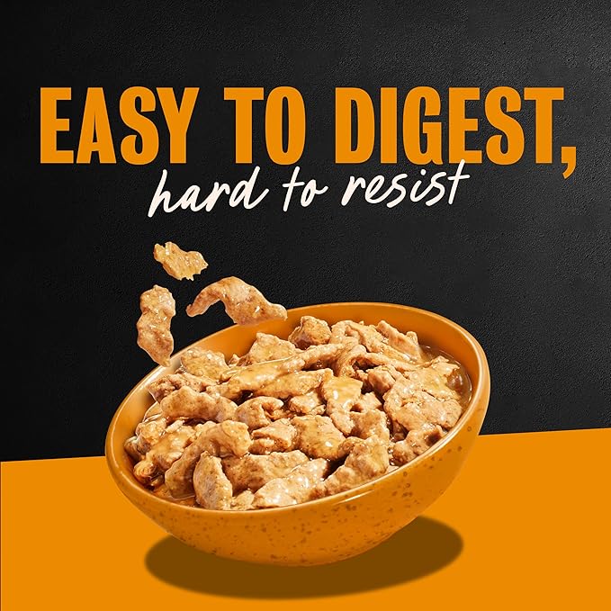 Cesar Filets in Gravy Adult Wet Dog Food, Rotisserie Chicken Flavor, 3.5 oz. Easy Peel Dog Food Tray, 24 Count (Pack of 1)