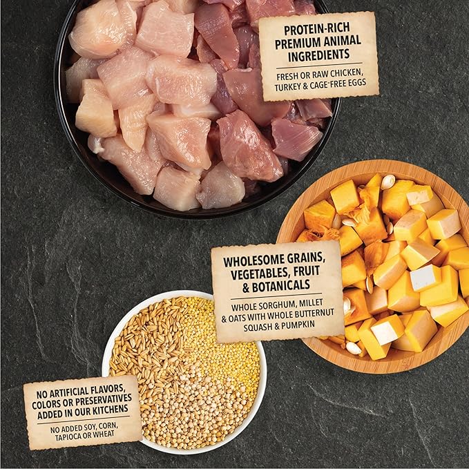 ACANA Wholesome Grains Dry Dog Food Free-Run Poultry & Grains Recipe with Cage-Free Eggs 4lb Bag