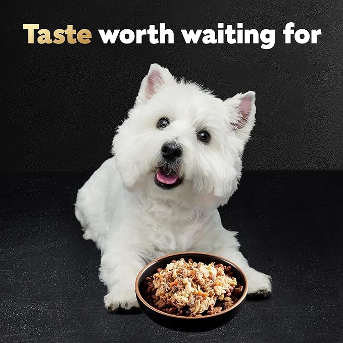 Cesar Wholesome Bowls Adult Wet Dog Food, Beef, Chicken, Carrots, Barley & Green Beans Recipe, Wet Food for Dogs, 3 oz., 10 Count