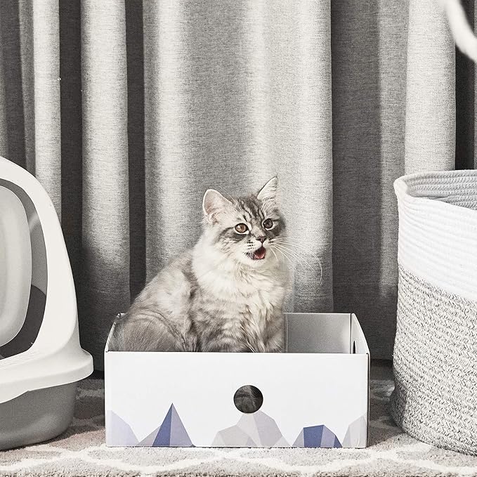 Cat Scratcher Box with Heavy-Duty Double-Sided Cardboard Pad, Cardboard Lounger, Interactive Hole Design, Cat Bed for Indoor Cats, White, Medium - 5 Pack