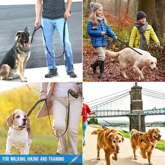 Heavy Duty Dog Leash - 2 Handles by Padded Traffic Handle for Extra Control, 6foot Long - Perfect for Medium to Large Dogs (6 ft, Black Red)