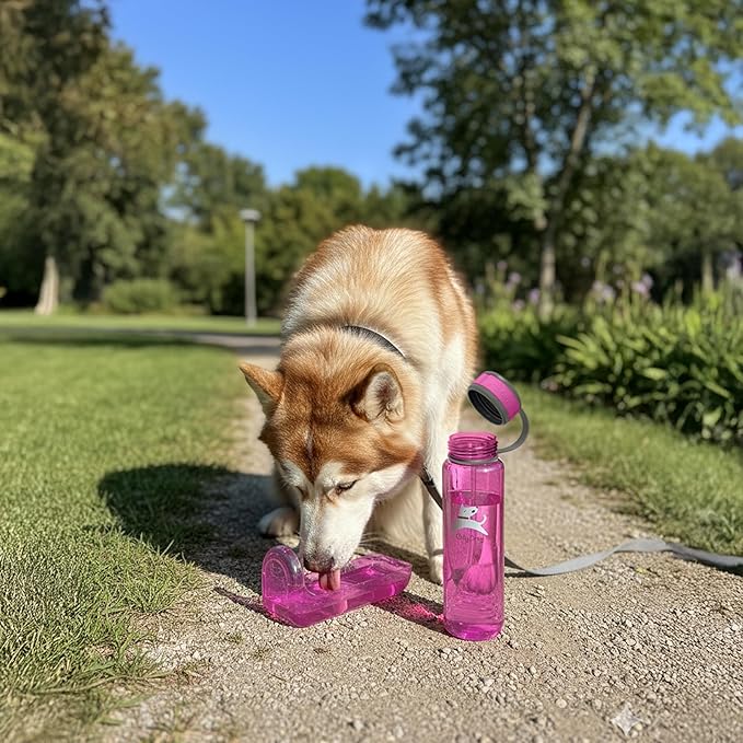 OllyDog OllyBottle | Tritan Dog Water Bottle with Detachable Bowl | BPA Free Leakproof Pet Dispenser | Hiking Travel (1L, Hot Pink)