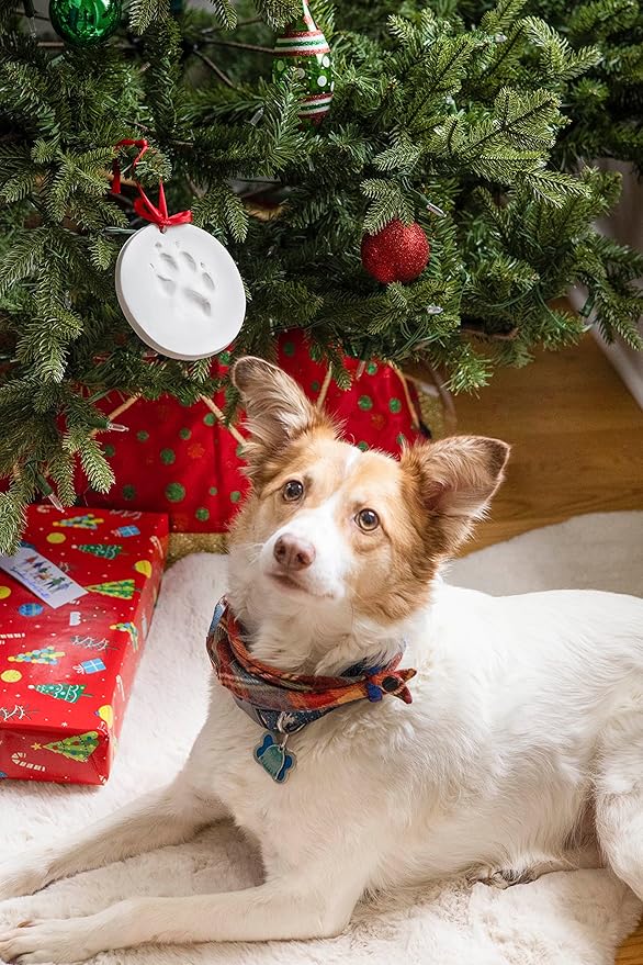 Pearhead Pawprints Christmas Ornament, DIY No Mess Pet Paw Print Holiday Keepsake Kit, Dog or Cat Stocking Stuffer Gift, for Pet Parents, Paw Print Ornament for The Holidays | (Pack of 12)