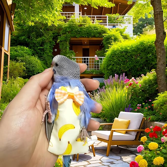 2Pcs Bird Diapers Bird Harness Flight Suits Diapers with 2Pcs 80 Inch Flying Leash Parrot Nappy Pigeon Pants Urine Wet Suit Costume for Cockatiel Conure Macaw Budgies Parakeet-Kiwi&Banana