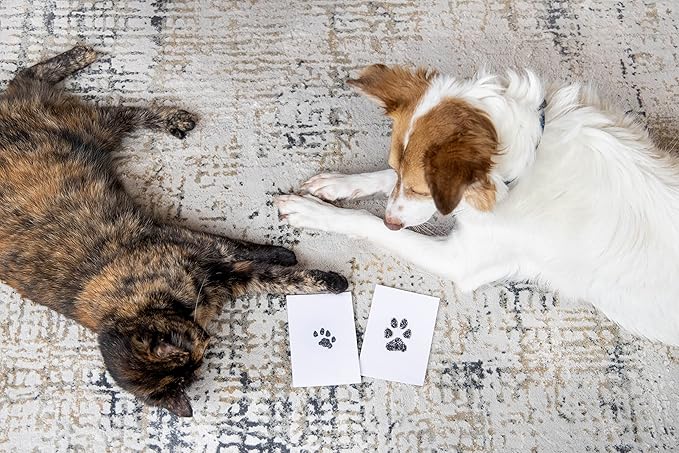 Pearhead Paw Print Clean Touch Ink Pad Kit for Dogs and Cats, Pet Owner Keepsake, DIY Inkless Paw and Nose Print Impression Set, Small/Medium