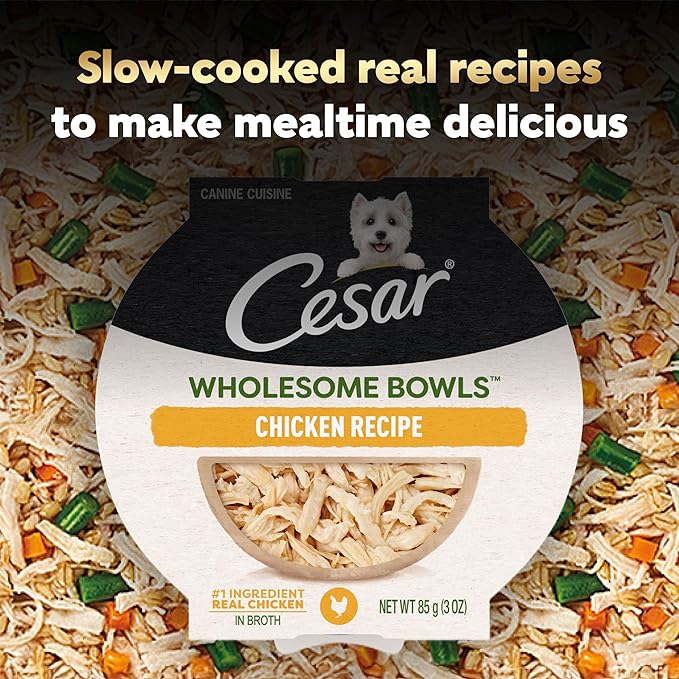 Cesar Wholesome Bowls Adult Wet Dog Food,Chicken,Recipe,Wet Food for Dogs,3 Oz. Bowls,10 Count (Pack of 2)
