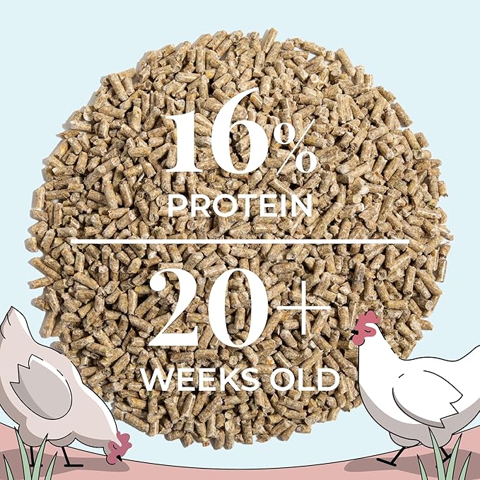 Mile Four Organic Chicken Feed (23 lbs) Layer Pellet, Non-GMO, USA Grown, 16% Protein, Corn-Free, Soy-Free, Non-Medicated Feed for Chickens