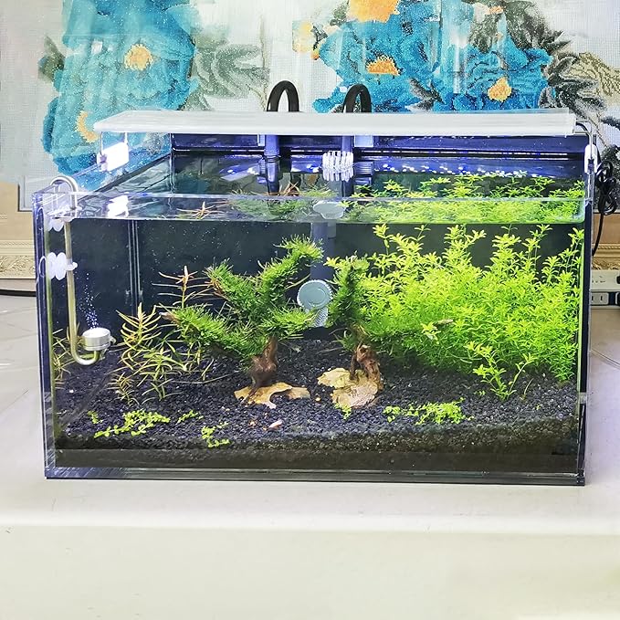 FixtureDisplays® 16.1 X 7.9 X 8.3" 5 Gallon Premium Clear Acrylic Fish Tank 22192-NF