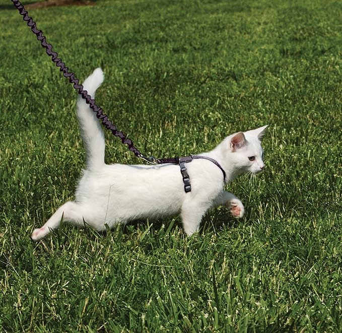 PetSafe Come With Me Kitty Cat Harness & Bungee Leash - Comfortable Cat Harness with Lightweight Bungee Leash for Outdoor Fun - More Secure Walks - Small - Black