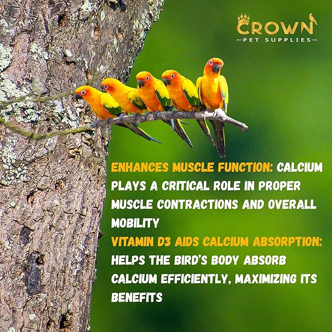 Avian Bone Boost – Calcium & Vitamin D3 Powder Supplement | Strong Eggshells & Healthy Bones | Ideal for Parrots, Parakeets, Cockatiels & All Cage Birds – Safe for All Birds