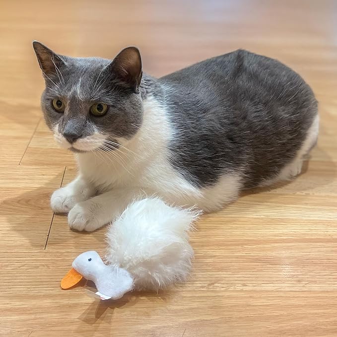 SPOT Birds of a Feather Catnip Toy for Cats – Interactive Plush Toy for Swatting, Pouncing, and Chasing – 6in, Assorted Styles