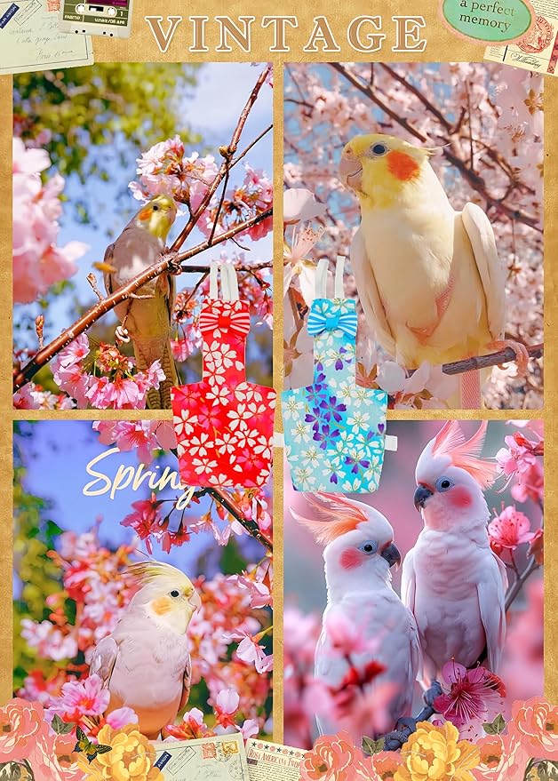 2 Pcs Bird Diapers Bird Harness Flight Suits Diapers with 80in Flying Leash Reusable Parrot Nappy with Waterproof Inner Layer for Cockatiel Budgie Conure Parakeet Lovebird-Red&Light Blue