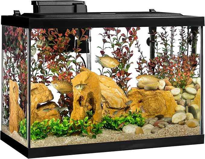 Tetra Aquarium, 20 Gallon, Complete Tropical Fish Tank Kit With LED Lighting And Decor For Freshwater Fish