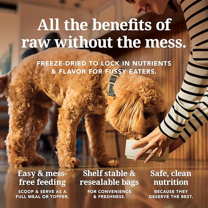 K9 Natural Beef Freeze Dried Dog Food, High-Meat Natural Complete Meal or Meal Toppers for Dogs, Grass-Fed Beef from New Zealand, Grain-Free, GMO-Free, Complete & Balanced Nutrition, 4lb