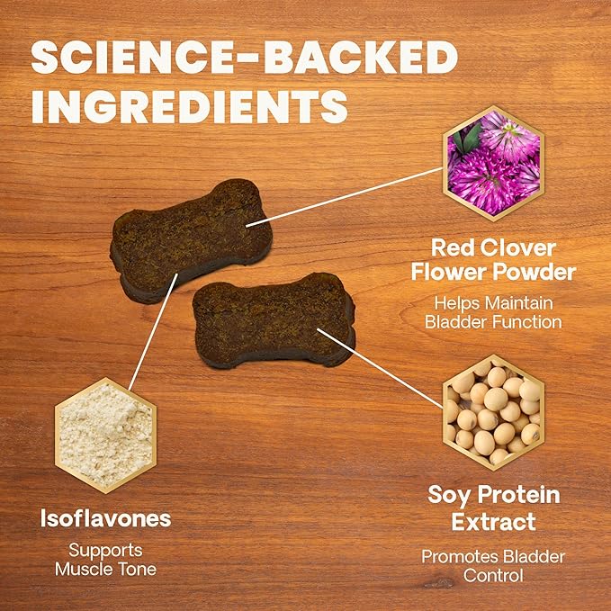 VETRISCIENCE Bladder Health Chews, Vetri Bladder Supplement for Dogs, Incontinence Support, Reduce Urine Leakage and Overactive, Soy Protein and Red Clover, Chicken, 60 Count (Pack of 12)