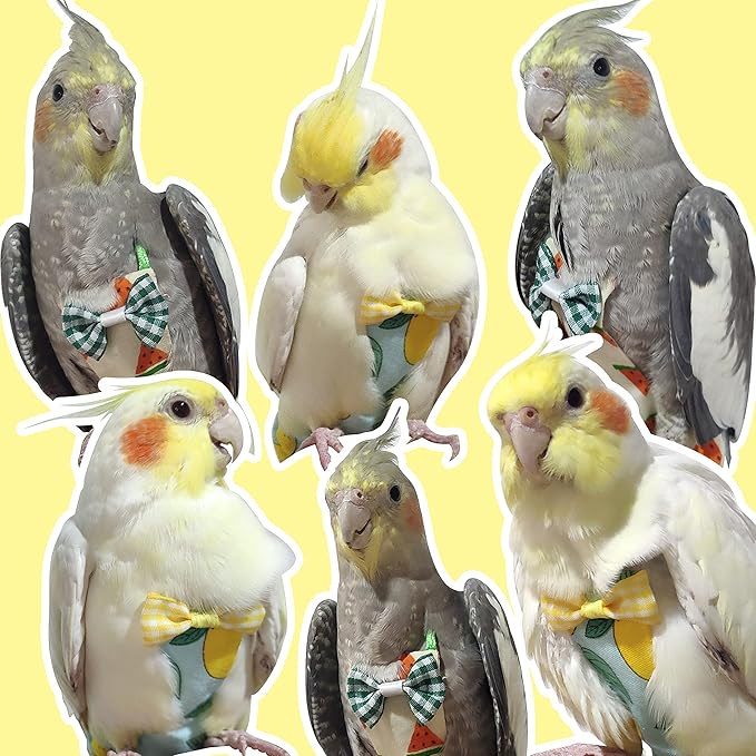 VANFAVORI Bird Diaper Harness Flight Suit Clothes with 80 Inch Flying Leash Rope for Parrots Conure Cockatiel Pet Birds Weight 80-105 Grams, M Size Yellow, Including A Cotton Pad