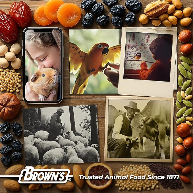 Tropical Carnival Brown’s Gourmet Large Hookbill Food & Fruit & Nut Parrot Treat Bundle – Vitamin-Fortified Daily Diet & Reward Mix for Parrots, Cockatoos & Large Hookbills Over 13in Tall – 10 lb + 1