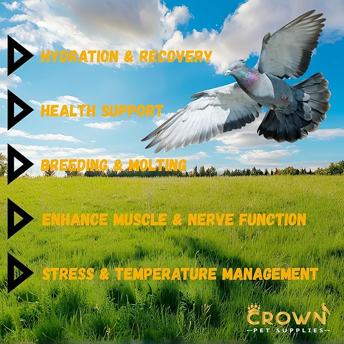 Electrolytes Plus Powder for Pigeons – Hydration & Recovery Supplement with Essential Minerals & Nutrients for Pigeons, Racing Pigeons and All Types of Pigeons & Birds