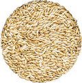 Unida Alpiste Canary Seed for Birds – 10 lbs Bulk Bird Food, 100% Pure & Natural, Non-GMO Bird Seed, No Additives