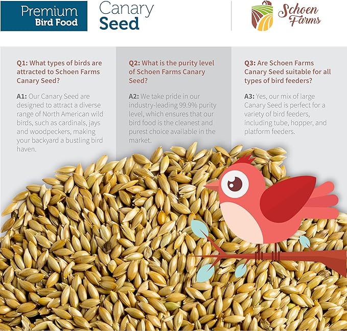 Premium Canary Seed ALPISTE (5 LBS)