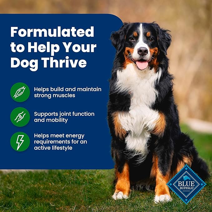 Blue Buffalo Life Protection Formula, Adult Dry Dog Food, Made with Natural Ingredients, Lamb & Brown Rice, 40lb Bag