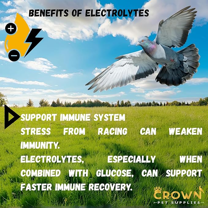 Electrolytes Plus Powder for Pigeons – Hydration & Recovery Supplement with Essential Minerals & Nutrients for Pigeons, Racing Pigeons and All Types of Pigeons & Birds
